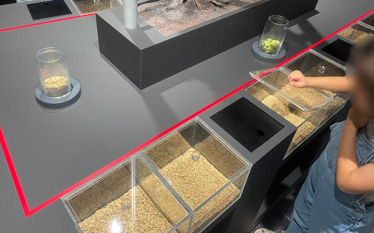 アサヒビールミュージアムツアーでの子供の様子